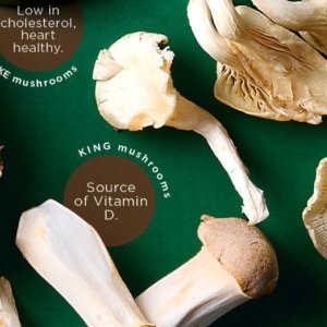 Mushrooms at Checkers
