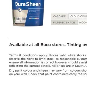 Paint at BUCO