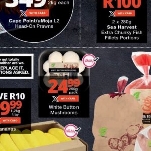 Mushrooms at Checkers