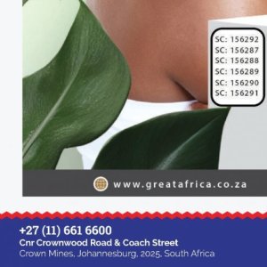   at Africa Cash and Carry