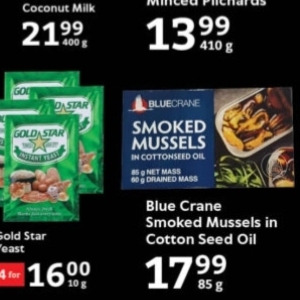 Mussels at Oxford freshmarket