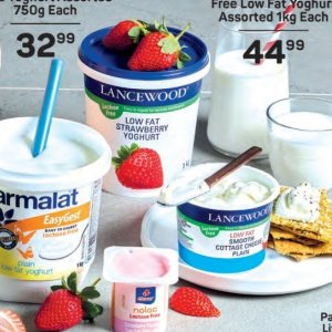 Yoghurt at Pick n Pay Hyper