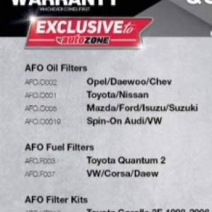   at Autozone