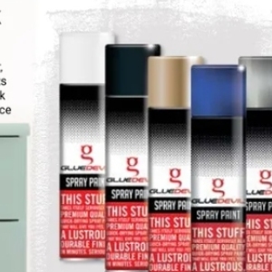 Paint at Builders Warehouse