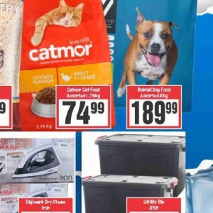  CAT at Big save