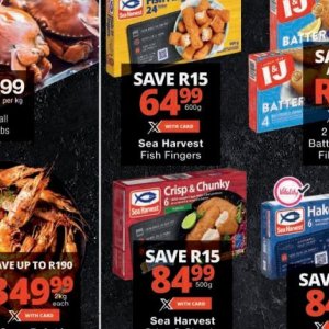 Fish at Checkers