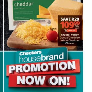 Gouda at Checkers