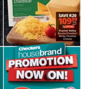 Cheddar at Checkers