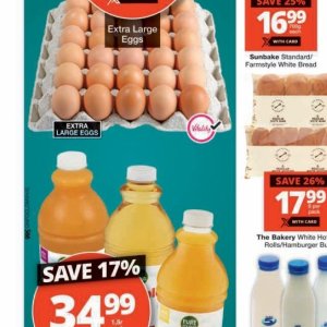 Eggs at Checkers
