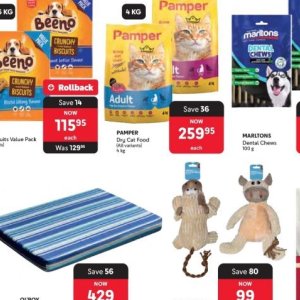  CAT at Makro
