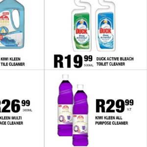 Bleach at Take n Pay