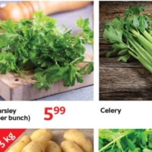 Celery at Oxford freshmarket