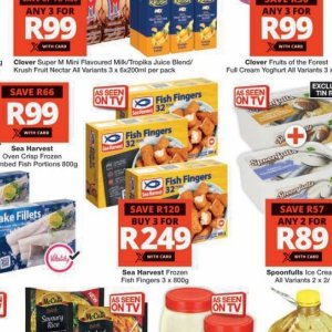 Fish at Checkers Hyper