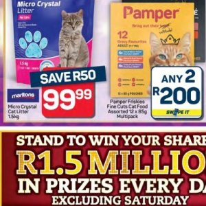 Cat litter at Pick n Pay Hyper