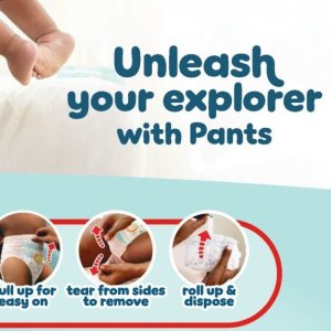 Pants at Clicks