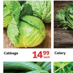 Cabbage at Oxford freshmarket