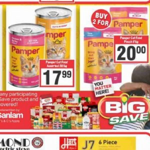  CAT at Big save