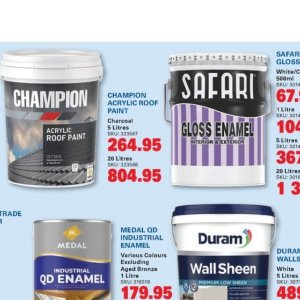 Paint at Cashbuild