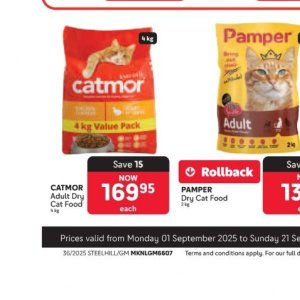  CAT at Makro