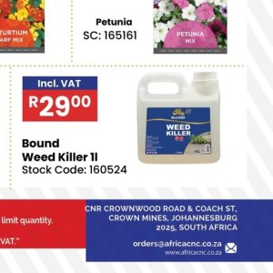   at Africa Cash and Carry