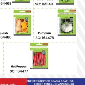 Pumpkin at Africa Cash and Carry