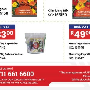 Seeds at Africa Cash and Carry