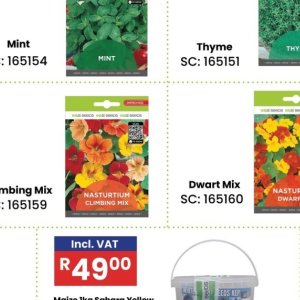 Seeds at Africa Cash and Carry