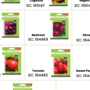 Beetroot at Africa Cash and Carry