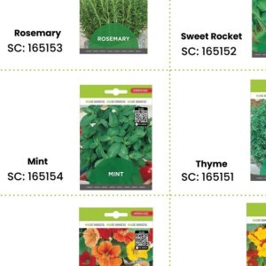 Seeds at Africa Cash and Carry