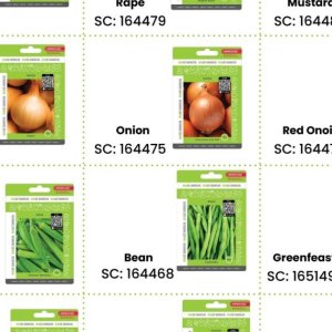 Onion at Africa Cash and Carry