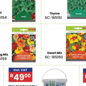 Seeds at Africa Cash and Carry