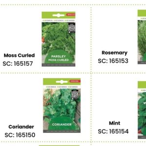 Parsley at Africa Cash and Carry