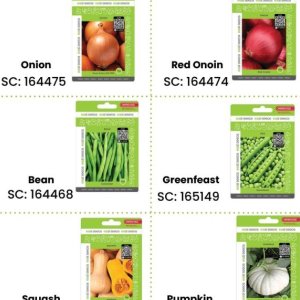 Seeds at Africa Cash and Carry