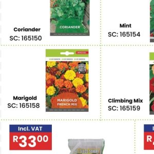 Seeds at Africa Cash and Carry
