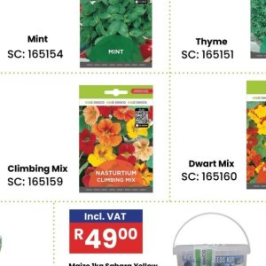 Seeds at Africa Cash and Carry
