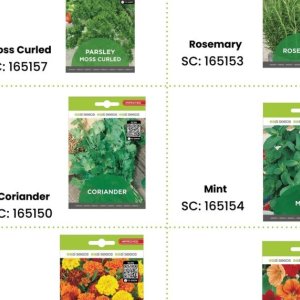 Seeds at Africa Cash and Carry