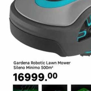 Mower at Leroy Merlin