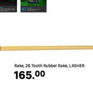Rake at Leroy Merlin
