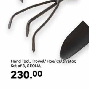 Trowel at Leroy Merlin