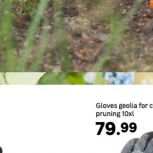 Gloves at Leroy Merlin