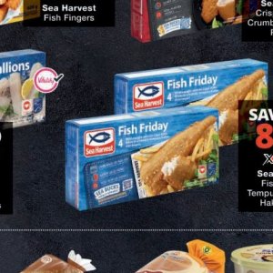 Fish at Checkers