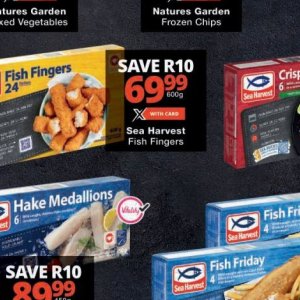 Fish at Checkers