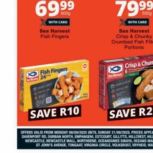 Fish at Checkers
