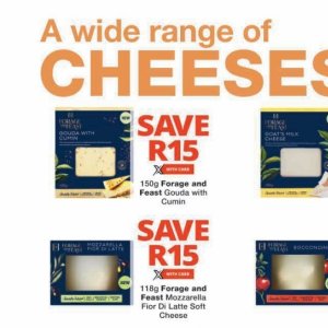 Gouda at Checkers