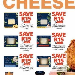 Gouda at Checkers