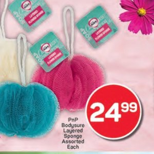 Sponge at Pick n Pay Hyper
