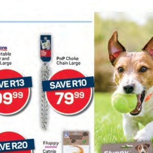 Chain at Pick n Pay Hyper