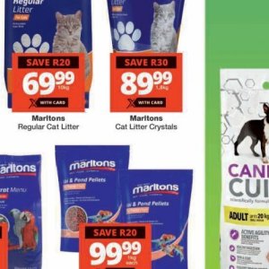 Cat litter at Checkers