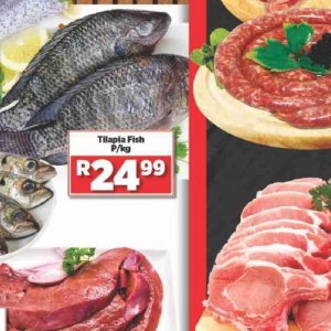 Fish at Big save