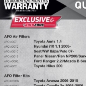  at Autozone